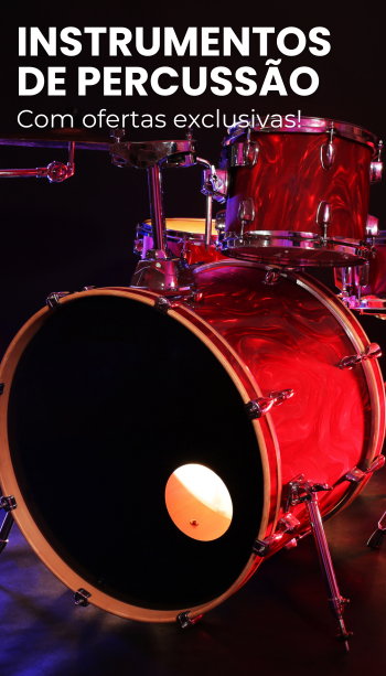 INSTRUMENTOS DE PERCUSSÃO